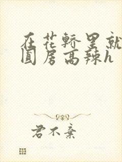 在花轿里就开始圆房高辣h