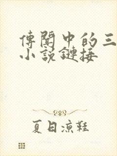 传闻中的三公主小说链接