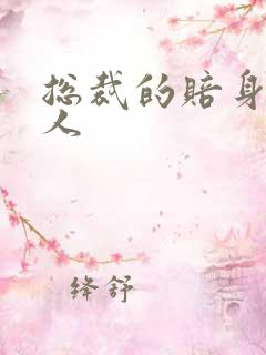 总裁的赔身小情人