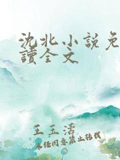 沈北小说免费阅读全文