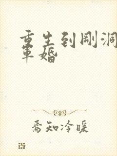 重生到刚洞房的军婚