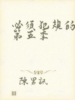 必须犯规的游戏第五季