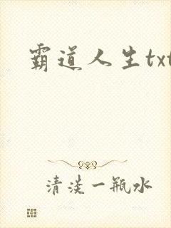霸道人生txt