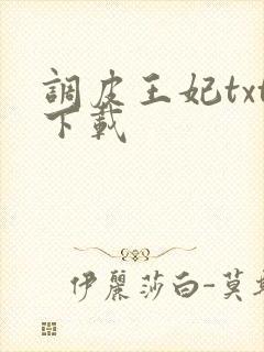 调皮王妃txt下载