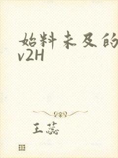 始料未及的软1v2H