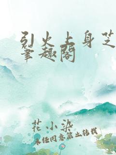 引火上身芝麻糖笔趣阁