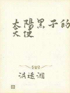 太阳黑子的折翼天使