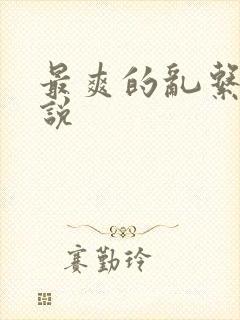 最爽的乱系列小说