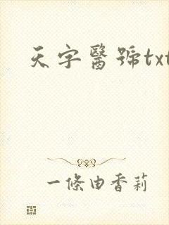 天字医号txt