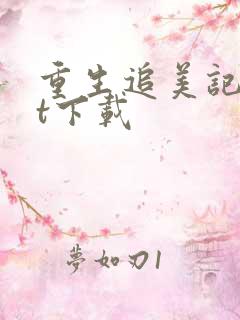 重生追美记txt下载