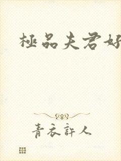 极品夫君好又多