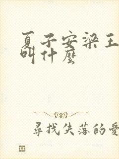 夏子安梁王书名叫什么