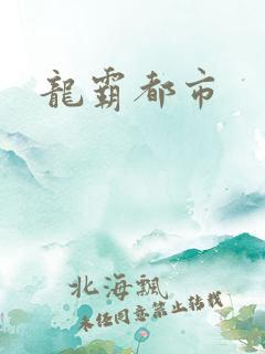 龙霸都市