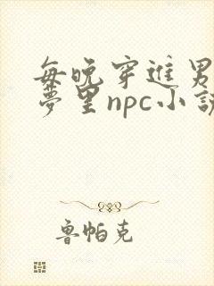每晚穿进男神的梦里npc小说