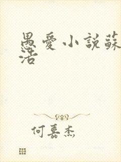 愚爱小说苏倩孙浩