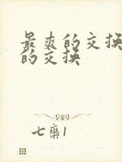 最爽的交换疯狂的交换