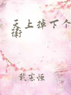 天上掉下个影卫卫
