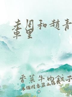 老周和赵青在货车里