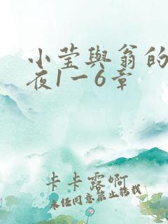 小莹与翁的销魂夜1一6章