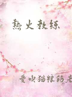 热火教练