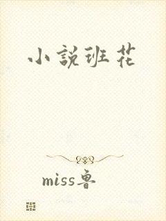 小说班花