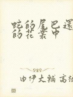 蛇的尾巴还在我的花丛中