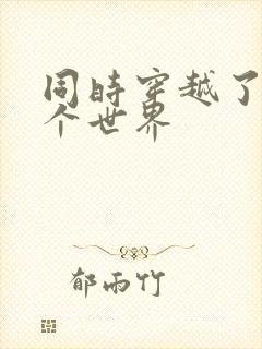 同时穿越了99个世界