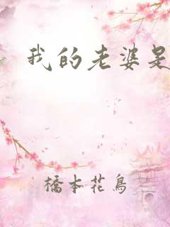 我的老婆是太妹