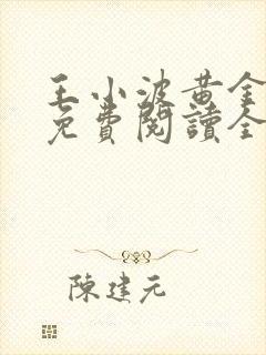 王小波黄金时代免费阅读全文