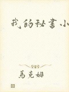 我的秘书小姐