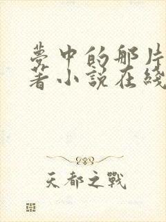 梦中的那片海原著小说在线阅读