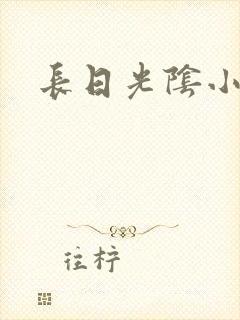 长日光阴小说