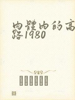 肉体内的高速公路1980