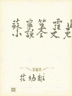 苏宁笙 霍止行小说全文免费阅读