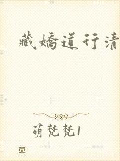 藏娇道行清浅