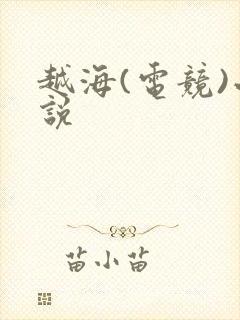 越海(电竞)小说