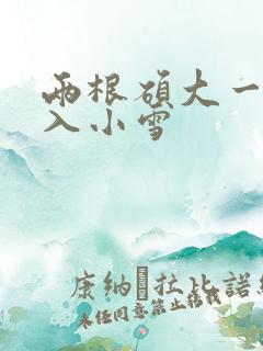 两根硕大一起挤入小雪