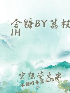 含糖BY荔枝11H