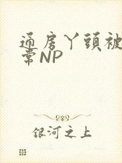 通房丫头被肉日常NP