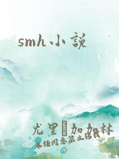 smh小说