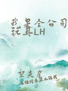 我是全公司发泄玩具LH