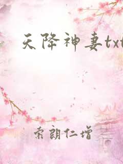 天降神妻txt