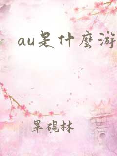 au是什么游戏