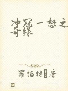 冲冠一怒之合租奇缘