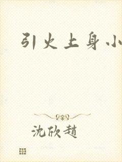 引火上身小说