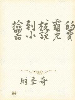 捡到校霸的遥控器小说免费阅读无弹窗