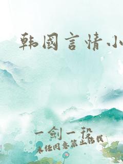 韩国言情小说
