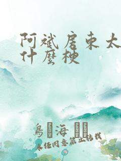 阿斌房东太太是什么梗