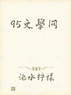 95文学网