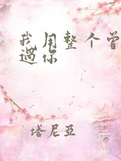 我用整个曾经爱过你